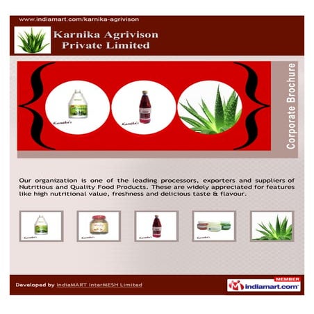 Karnika Agrivison Private Limited, Jaipur, Quality Food Products