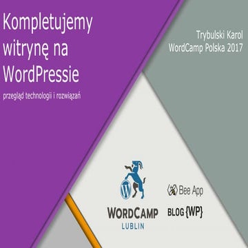 Kompletujemy witrynę na WordPressie. Przegląd technologii