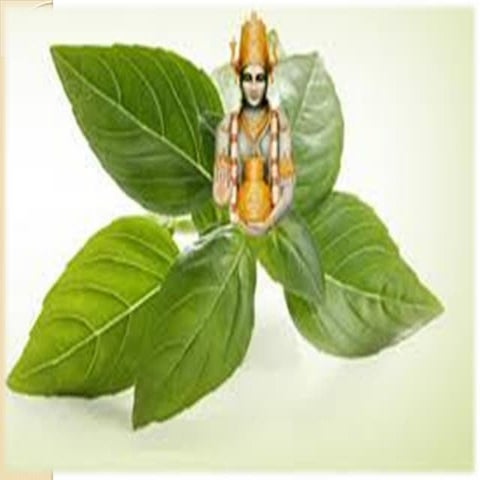 Karya karan bbhava siddhant 