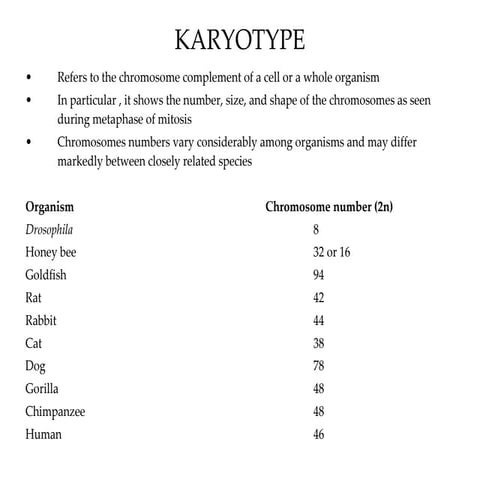 Karyotype
