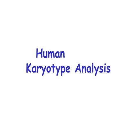 Comprehensive Human Karyotype Analysis and Cytogenetics Overview | PPTX