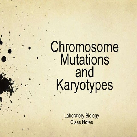 Karyotype notes
