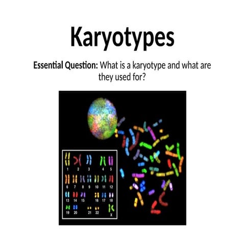 Karyotypesiiioiuiouiouuiuiuiuiuiuuiu.pptx