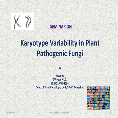 Karyotype variability in plant pathogenic fungi
