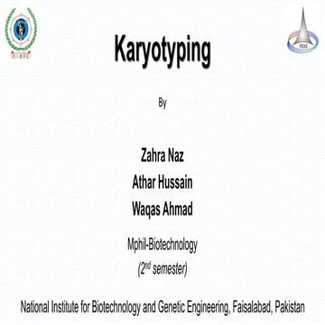 Karyotyping