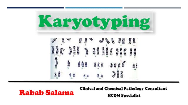 Karyotyping