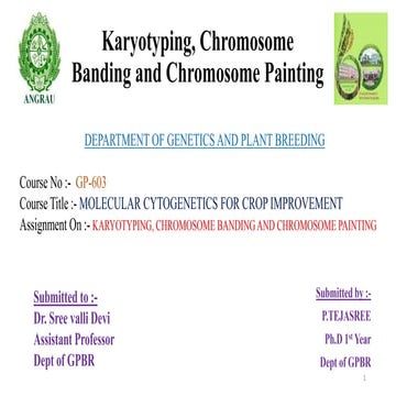 KARYOTYPING, CHROMOSOME BANDING AND CHROMOSOME PAINTING.pptx