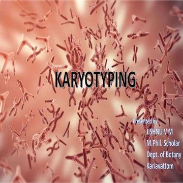 Karyotyping 