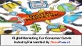 Digital Marketing For Consumer Goods Industry Reinvented