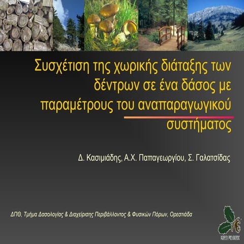 Συσχέτιση της χωρικής διάταξης των δέντρων σε ένα δάσος με παραμέτρους του αν...