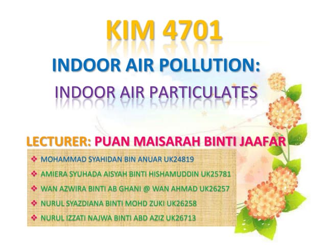 Indoor Air Particulate Matter