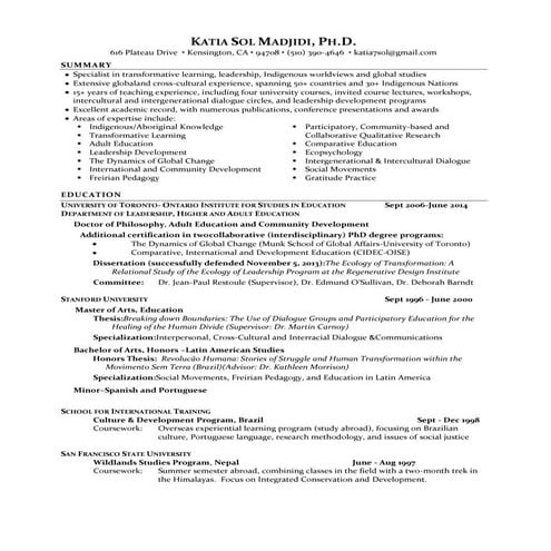 Katia Sol Madjidi CV Dec 2013