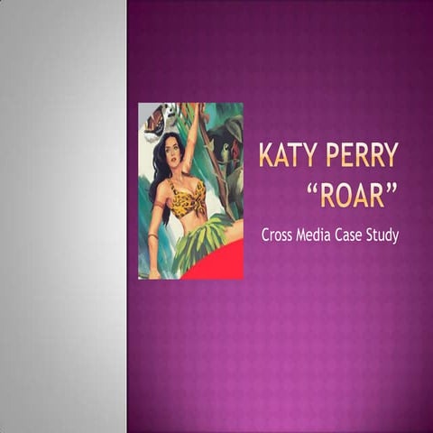 Katy perry cross media anaysis