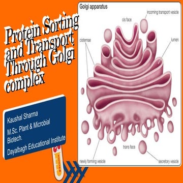 Protein Sorting and Transport Through Golgi complex