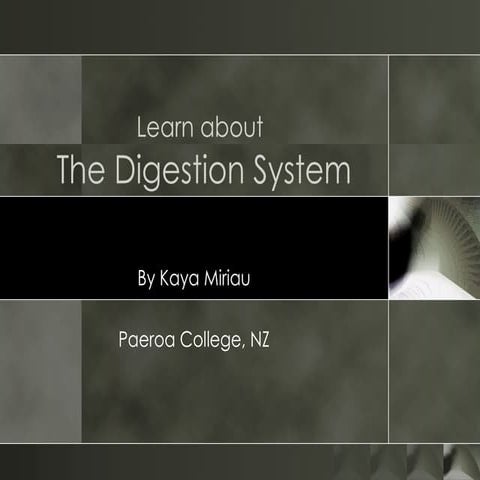 The Digestive System