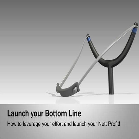 Launching Your Profits