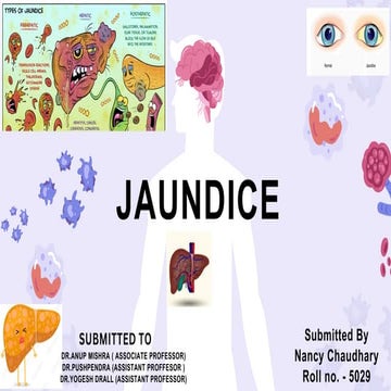 jaundice - bilirubin metabolism, jaundice classification | PDF