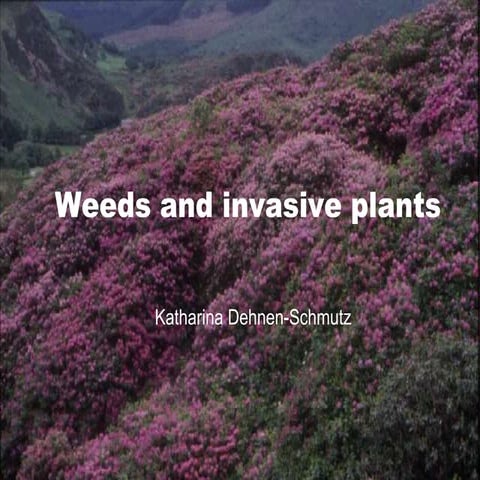 K denhen schmutz weeds and invasive plants cafs uk