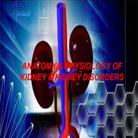 Kidney anatomy, physiology and disorders