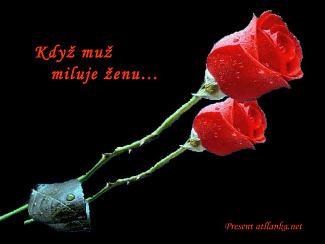 Když muž miluje ženu - When a man l...