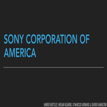 Kearns_Megan_SonyPresentation.pdf