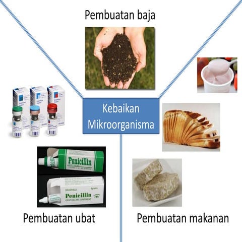 Kebaikan mikroorganisma