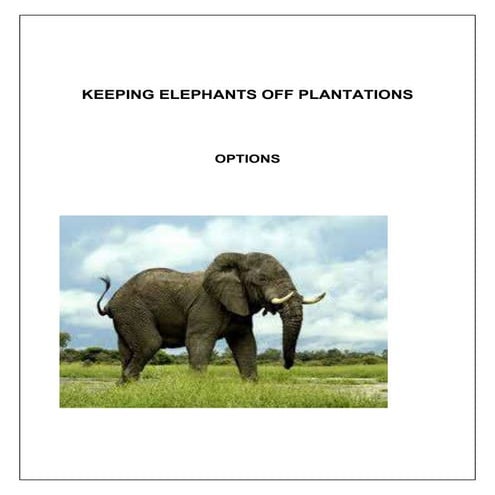 Keeping Elephants  away from plantations