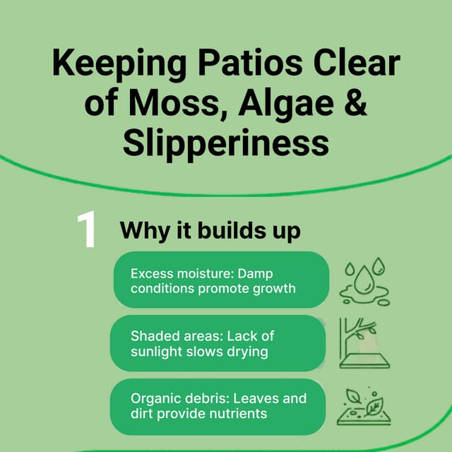 Improve Your Flower Beds With These Tips.pdf