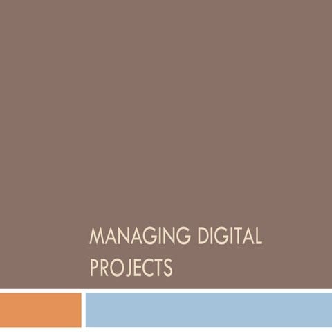 How to Avoid Disasters on Digital Projects