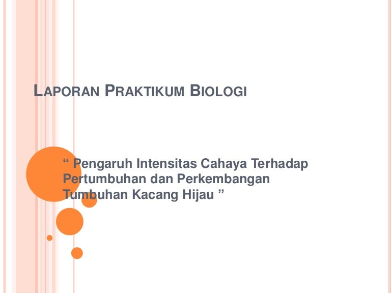 Makalah Pertumbuhan Kacang Hijau Ditempat Gelap Dan Terang