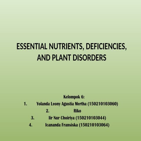 Nutrisi Tumbuhan Dan Akibat Apabila Kekurangan Nutrisi Pptx