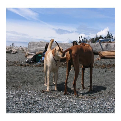 Kellett Yellowknife Sept-24