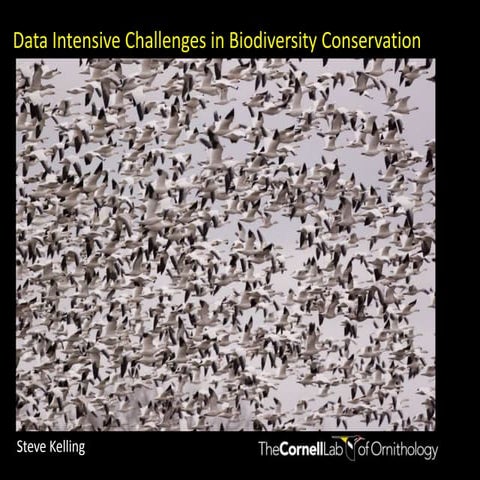 Keynote Speaker 1 - Data Intensive Challenges in Biodiversity Conservation: a...