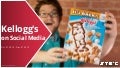 Kellogg's Social Media Analysis Q4 2015