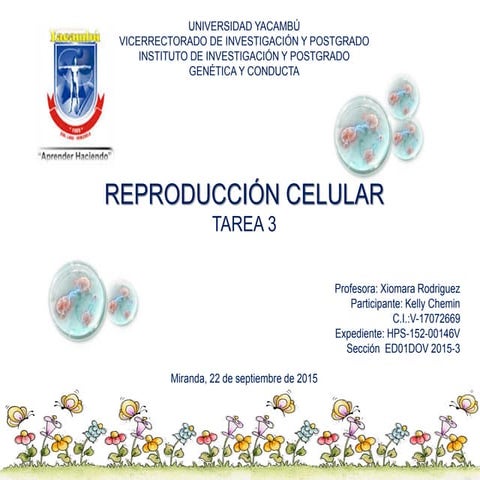 Kelly chemin v17072669_reproduccioncelular