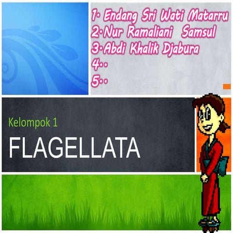 Flagellata