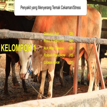 Sapi gila | PPS