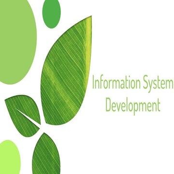 Information System Development