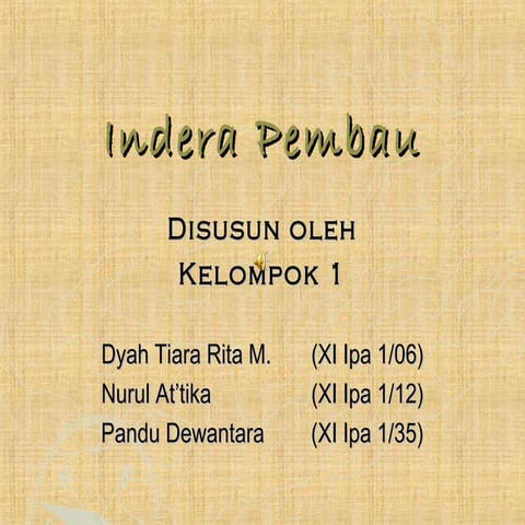 indera penciuman