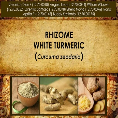 White Turmeric