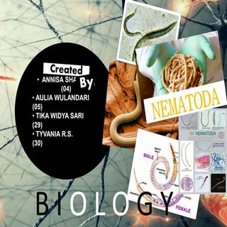 Kelompok 4 nematoda xmia2