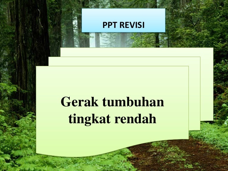 Gerak Tumbuhan Tingkat Rendah