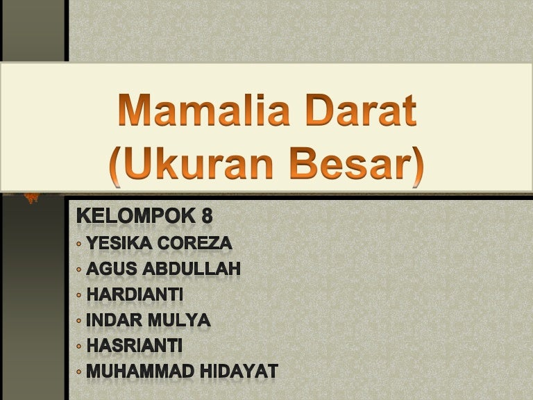 Kelompok 8 mamalia darat (ukuran besar)