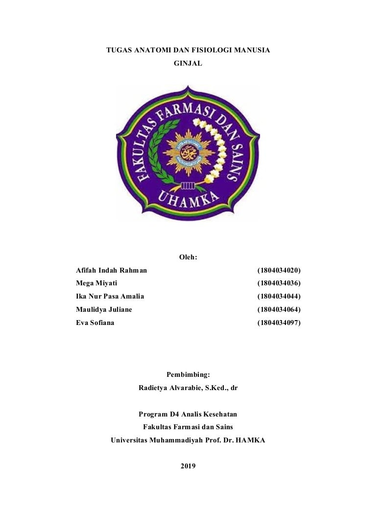 Download 96 Koleksi Gambar Ginjal Secara Morfologi Terbaik Gratis HD