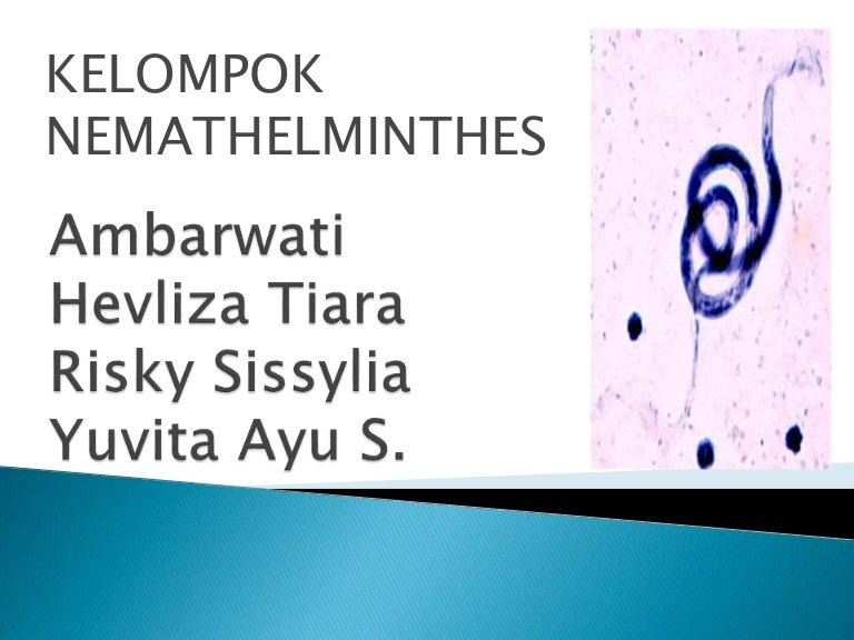 parah conto nemathelminthes yang bersifat parazit polygemma 13 forum