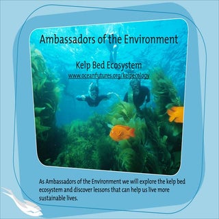 Kelp Ecology Slideshow