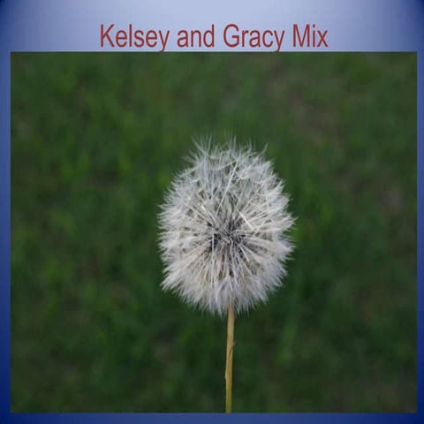 Kelsey And Gracy Mix