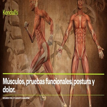 Músculos Pruebas Funcionales, Postura y Dolor. Resumen del capítulo 1. Parte 1