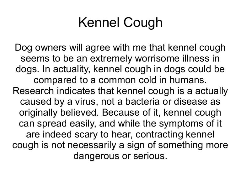 Kennel Cough Remedies For Kennel Cough Symptoms