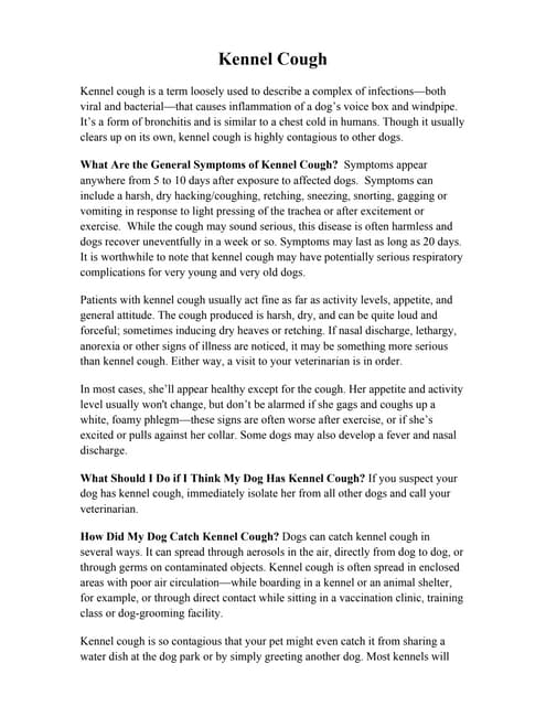 Kennel cough | PDF